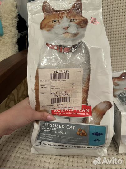 Сухой корм для кошек hills