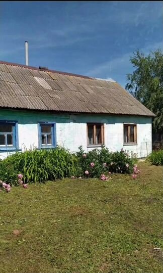 Дом 60 м² на участке 50 сот.