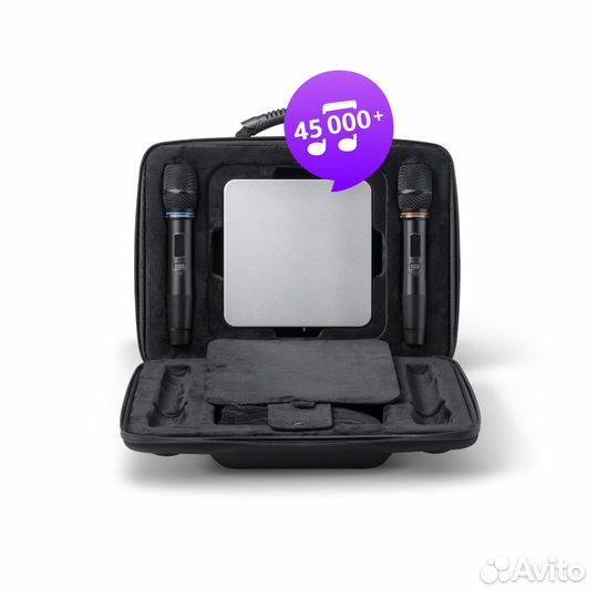 Караоке EvoBox Plus Silver с микрофонами + EvoCase