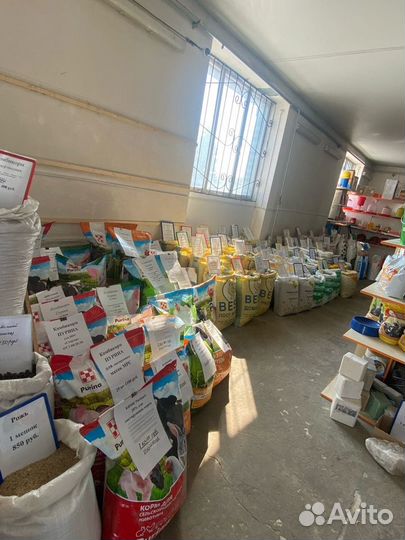 Пшеница урожай 2022