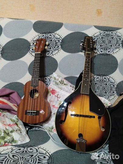 Мандолина Cort