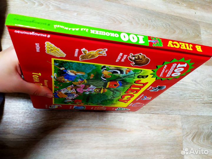 Новая книга В лесу Тони Вульфа