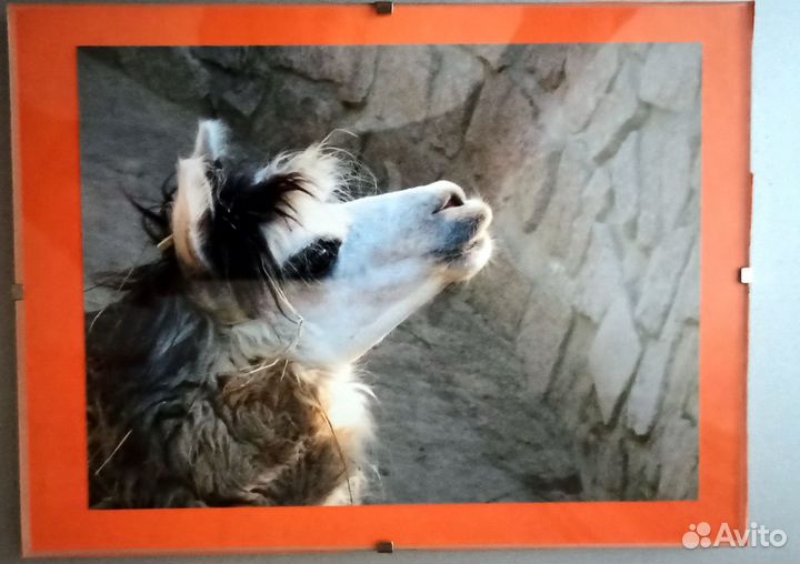 Фото-рамка стекло 18х23 с фотографией