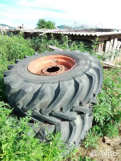 Колёса на беларус