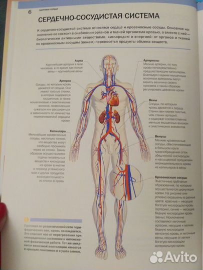 Книги по рукоделию, медицине, психологии