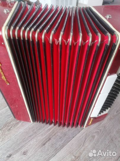 Аккордеон
