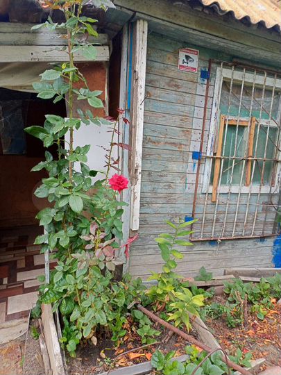 Дача 20 м² на участке 8 сот.