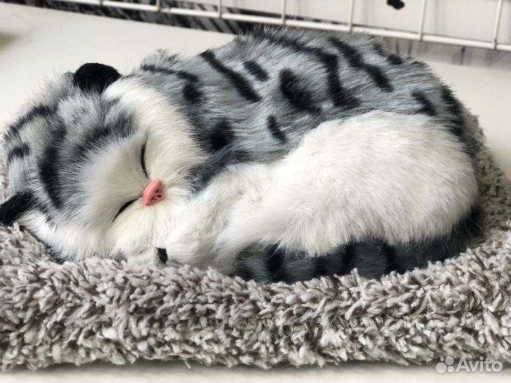 Мягкие сувенир кошка