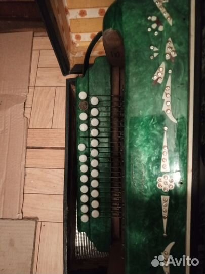 Гармонь Беларусь