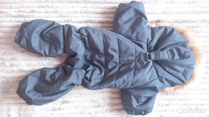 Комбинезон для собаки