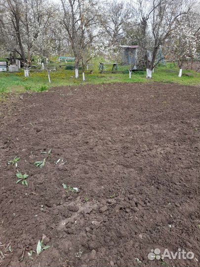 Благоустройство сада