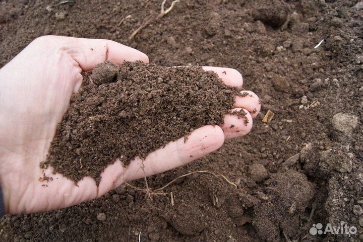 Перегной с доставкой 10 тонн