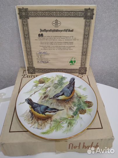 Корсиканский поползень