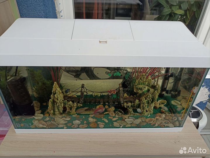 Аквариум