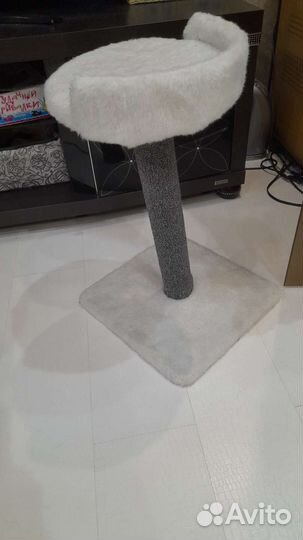 Когтеточка