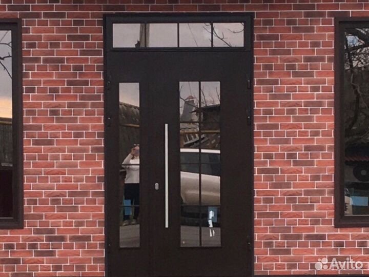 Дверь входная для магазина офиса