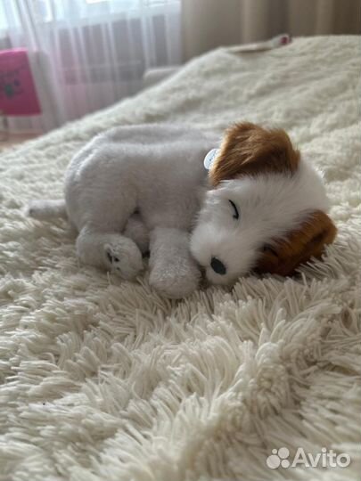 Щенок Perfect Petzzz