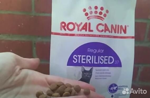 Kорм для кошек royal canin Корм для кошек Royal Ca