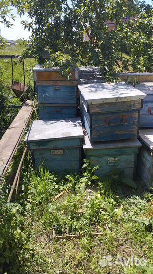 Ульи для пчел