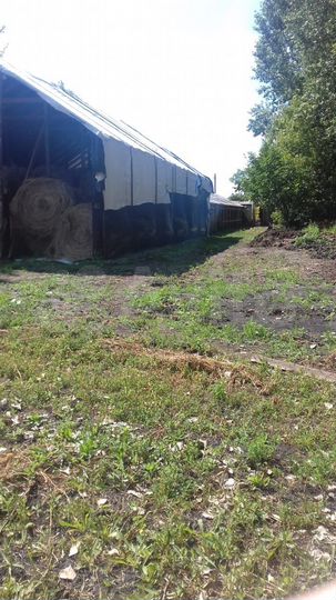 Дом 70 м² на участке 40 сот.