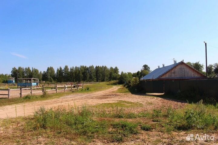 Постой лошадей