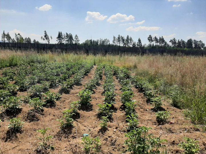 Участок 11,2 сот. (СНТ, ДНП)