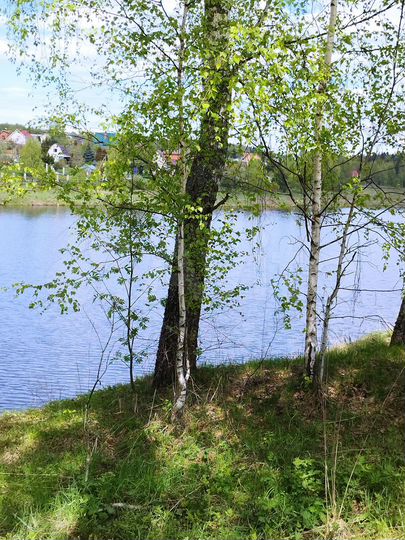 Участок 18,5 сот. (СНТ, ДНП)