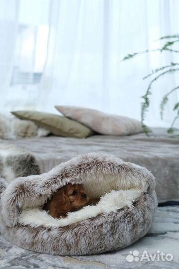 Лежанка для кошек и собак