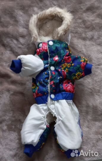 Одежда для собак мелких пород