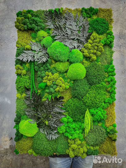 Панно из мха готовые панели декор стен озеленения