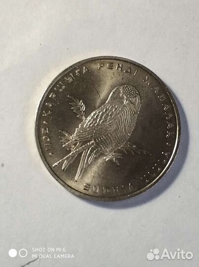Монета Казахстан ястребиная сова