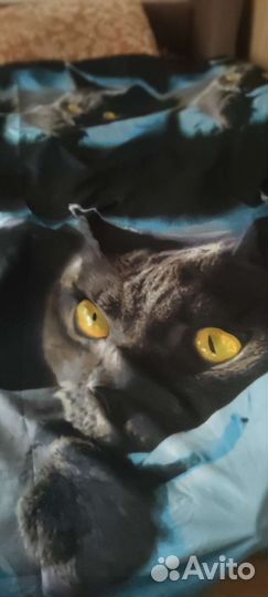 Постельное белье кошка