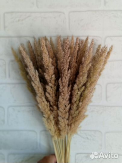 Букеты цветов сухоцветы с вазой, Вейник