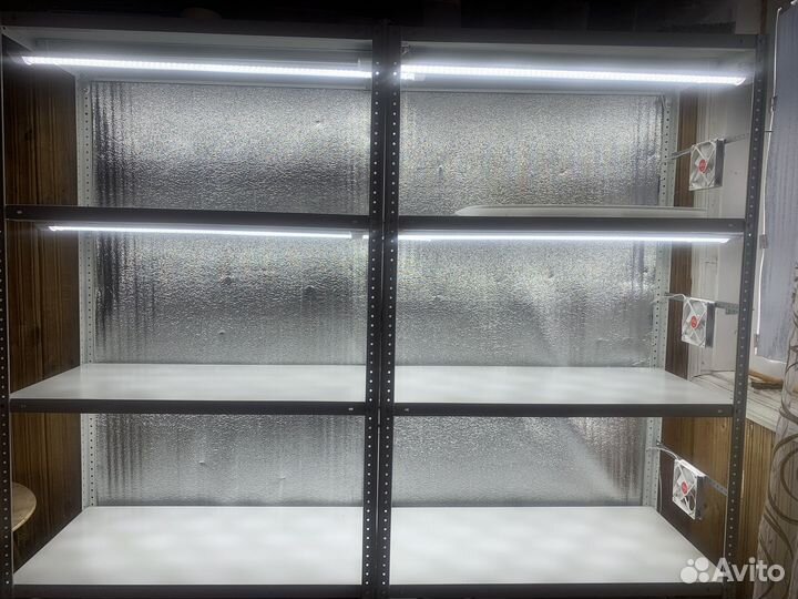 Стеллаж для выращивания микрозелени