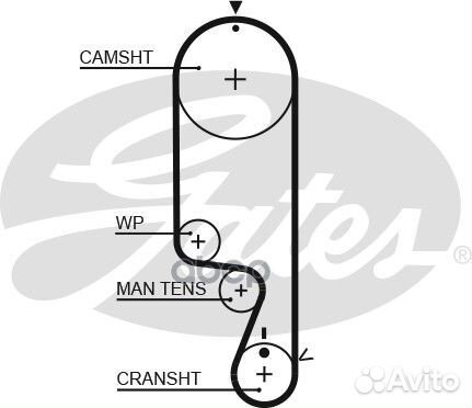 Зубчатый ремень привода грм PowerGrip 5535XS G