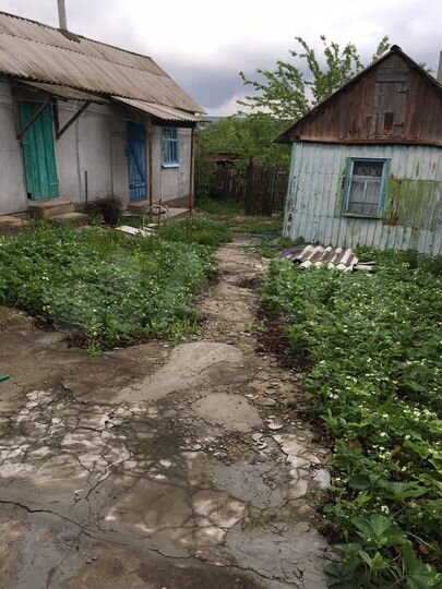 Дом 54 м² на участке 10 сот.