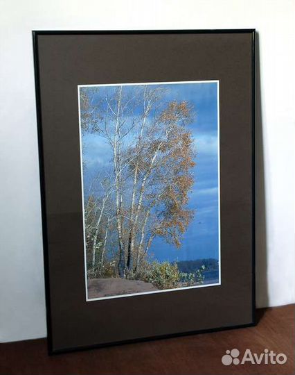 Фотокартины для интерьера