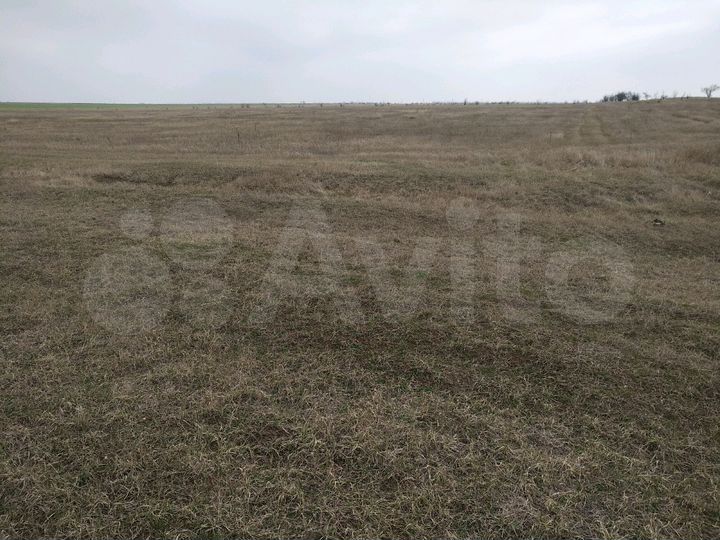 Участок 3,5 га (СНТ, ДНП)