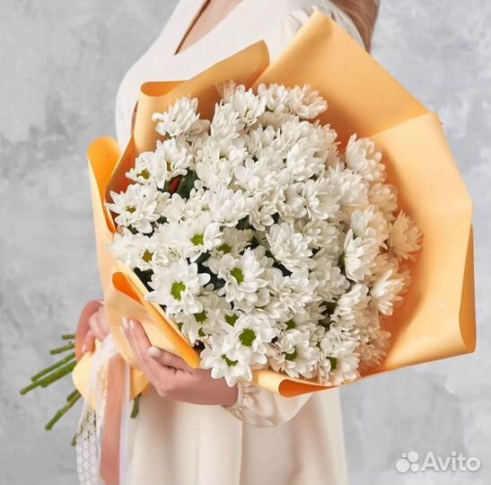 Хризантема