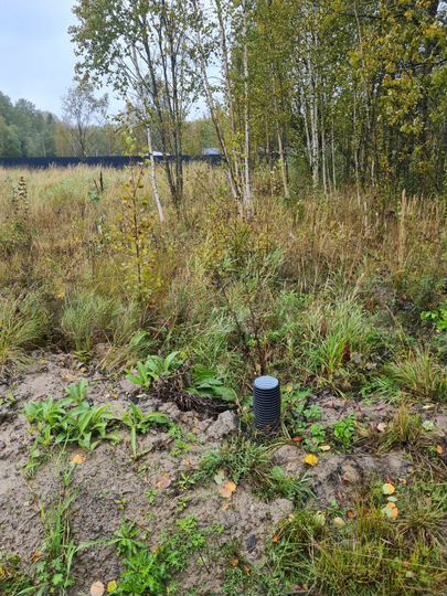 Участок 7 сот. (СНТ, ДНП)