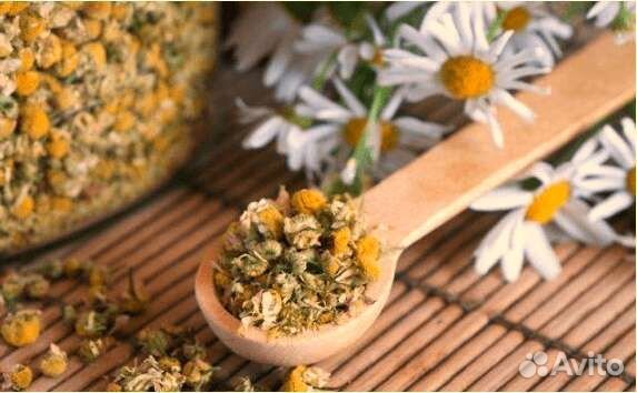 Ромашка сушеная