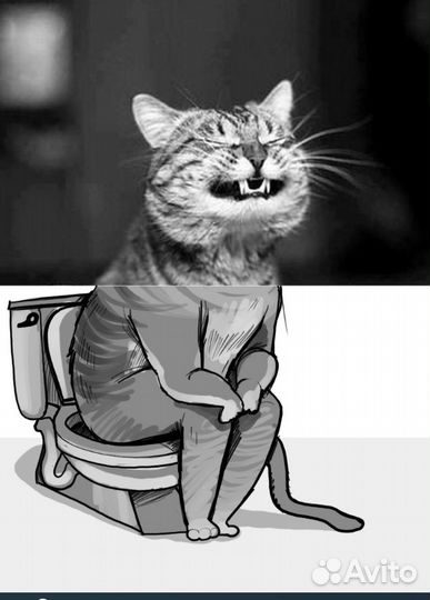 Ищем инвестора, производства кошачьего наполнителя