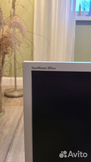 Монитор Samsung SyncMaster 205BW