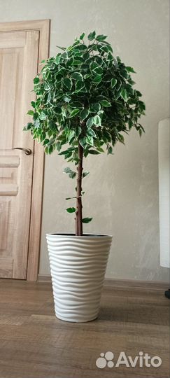 Фикус Бенджамина и другая искусственная зелень