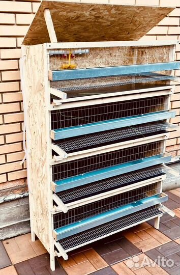 Клетки для перепелов