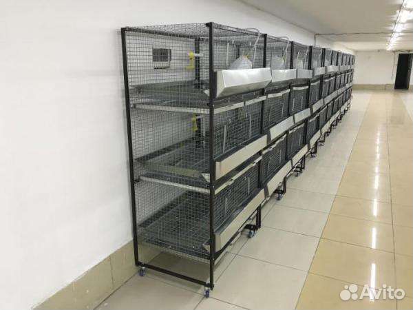 Клетки для бройлеров