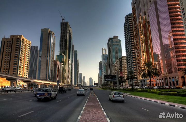 Go в UAE 7 дн