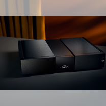 Усилитель мощности naim audio NAP 250 New Classic