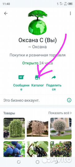 Шелковица черная саженцы в наличии