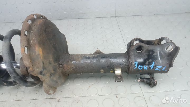 Стойка амортизатора заднего левого Lexus RX270/RX350/RX450h